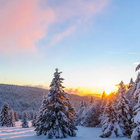 Chez Julia Cosy En Bois Avec Son Jardin *