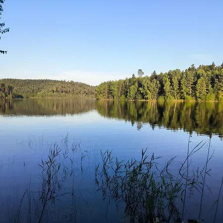 Chez Julia Cosy En Bois Avec Son Jardin Prázdninový dům