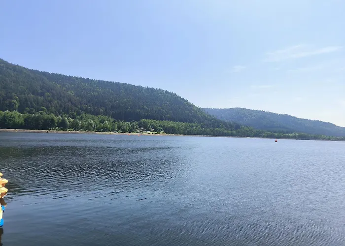 Ferienhaus Chez Julia Cosy En Bois Avec Son Jardin Azerailles